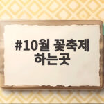 10월 꽃축제 하는곳
