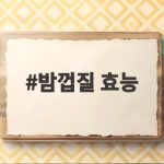 밤껍질 효능