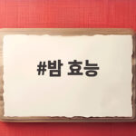 밤 효능