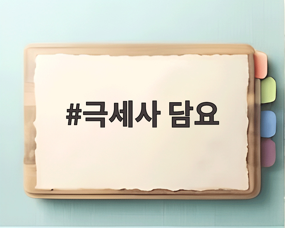 극세사 담요