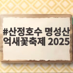 산정호수 명성산 억새꽃축제 2025 은빛 물결 속으로 산정호수 명성산 억새꽃축제 2025