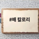 배 칼로리 1개와 100g은 얼마나 될까 다이어트 간식으로 안심하고 먹는 법 배 칼로리