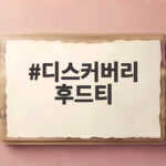 디스커버리 후드티