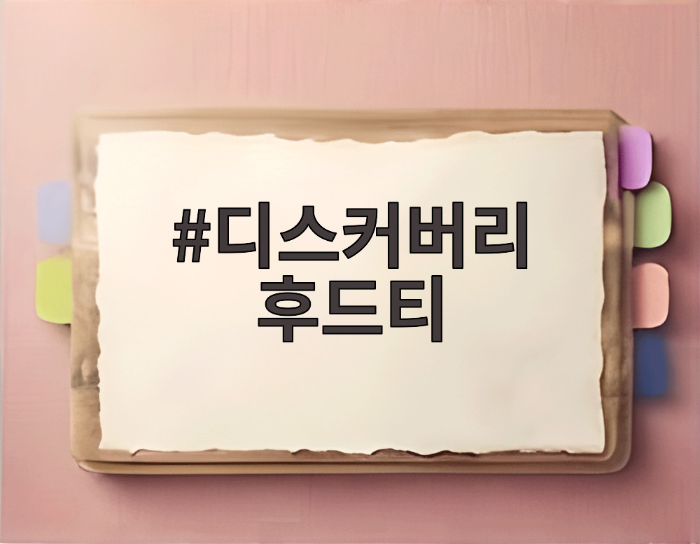 디스커버리 후드티