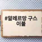 알레르망 구스 이불 고르기 전에 알아야 할 진짜 이야기 알레르망 구스 이불