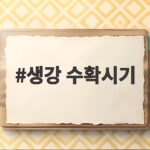 생강 수확시기