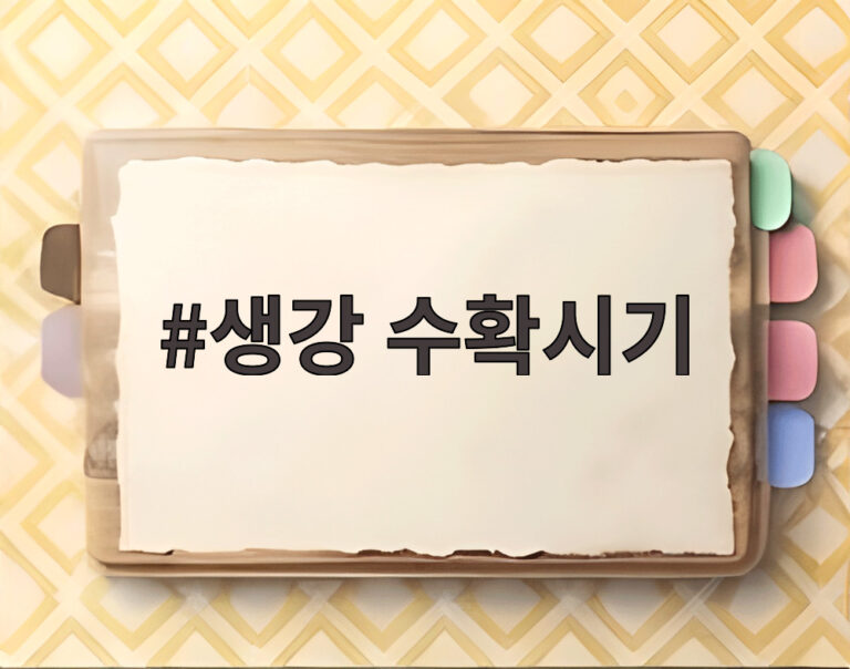 생강 수확시기