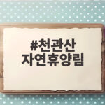 천관산 자연휴양림
