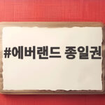 에버랜드 종일권