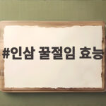 인삼 꿀절임 효능