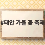태안 가을 꽃 축제