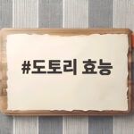 도토리 효능 알고 먹으면 가을 식탁이 달라져요 도토리 효능