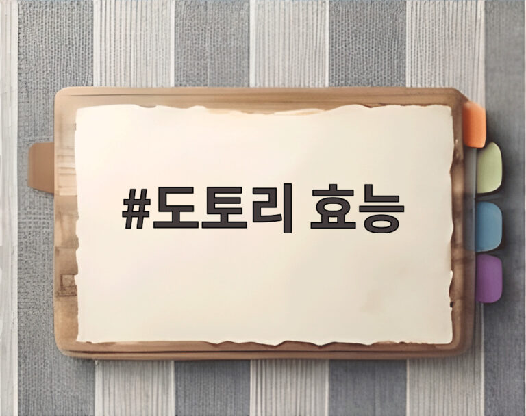 도토리 효능