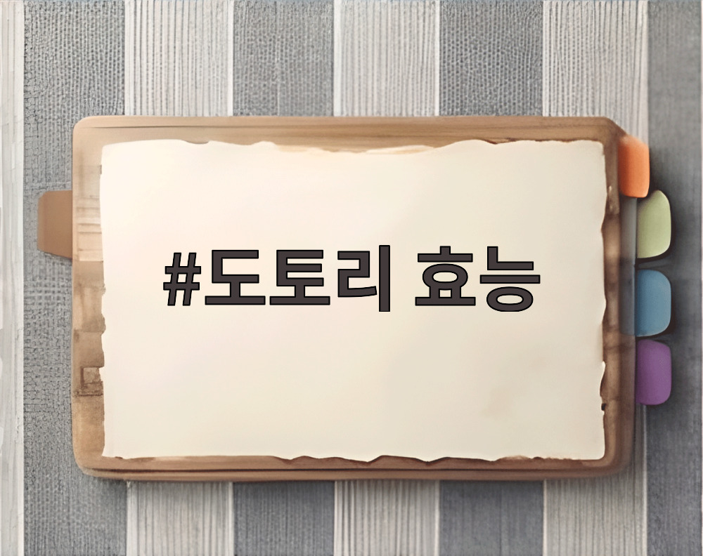 도토리 효능