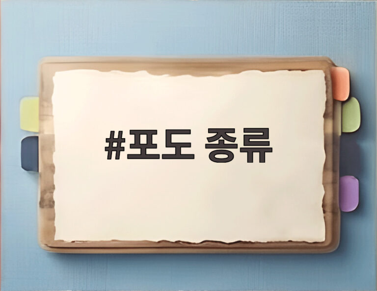 포도 종류