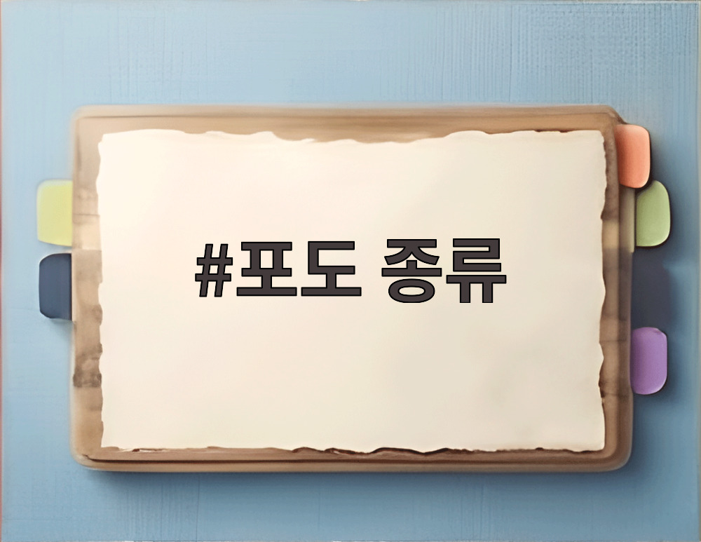 포도 종류