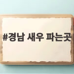 경남 새우 파는곳 제철 생새우 가격부터 손질법까지 경남 새우 파는곳