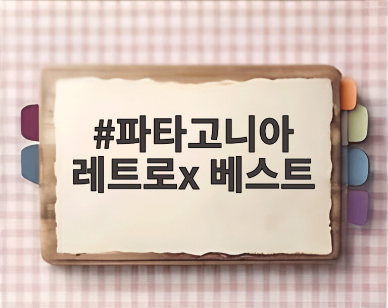 파타고니아 레트로x 베스트