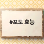 포도 효능