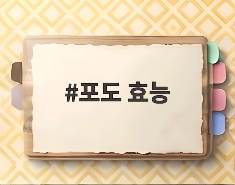 포도 효능