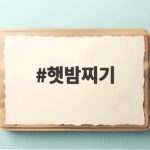 햇밤찌기