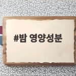 밤 영양성분