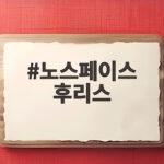 노스페이스 후리스