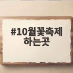 10월꽃축제 하는곳