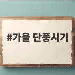 가을 단풍시기