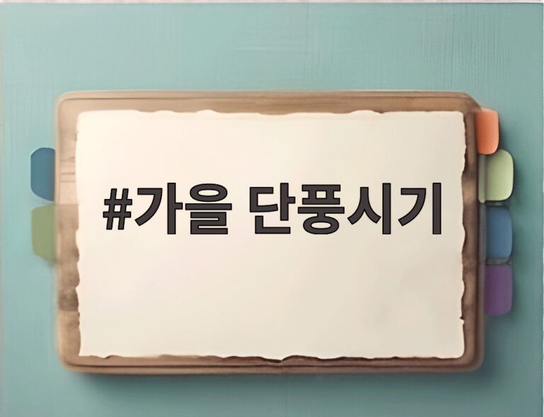 가을 단풍시기