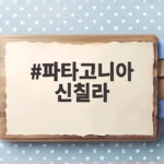 파타고니아 신칠라