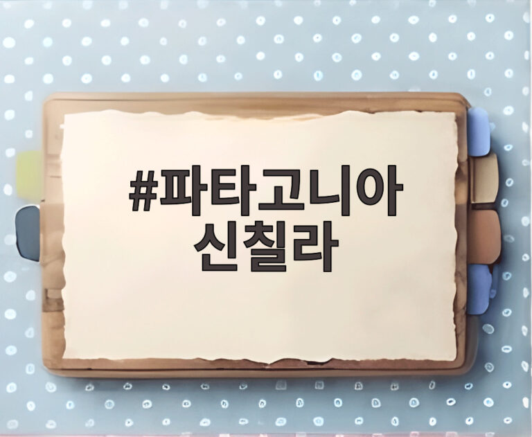 파타고니아 신칠라