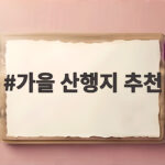 가을 산행지 추천 단풍과 억새 절정 시기에 맞춘 산행 계획 가을 산행지 추천