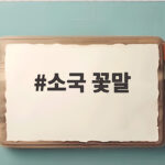 소국 꽃말