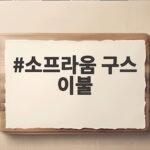 소프라움 구스 이불 고르기 전에 알아야 할 모든 것 소프라움 구스 이불