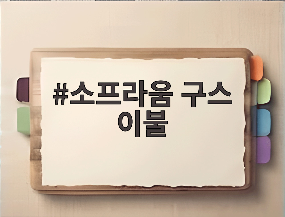 소프라움 구스 이불