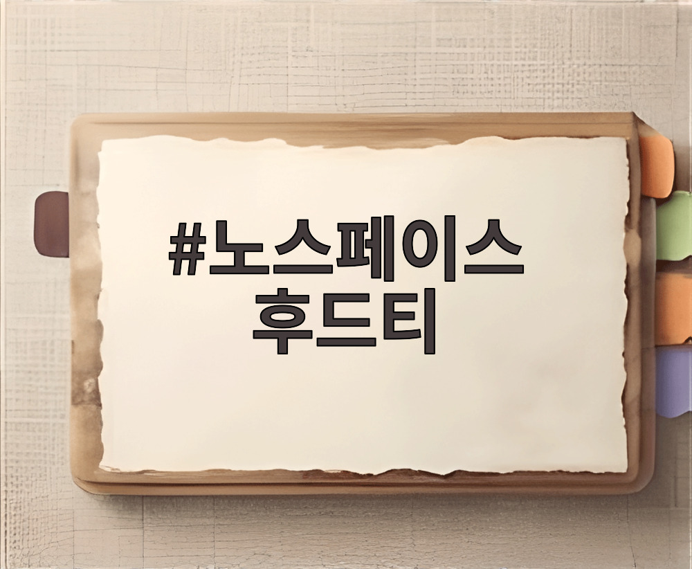 노스페이스 후드티
