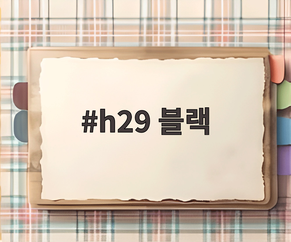 h29 블랙