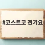 코스트코 전기요