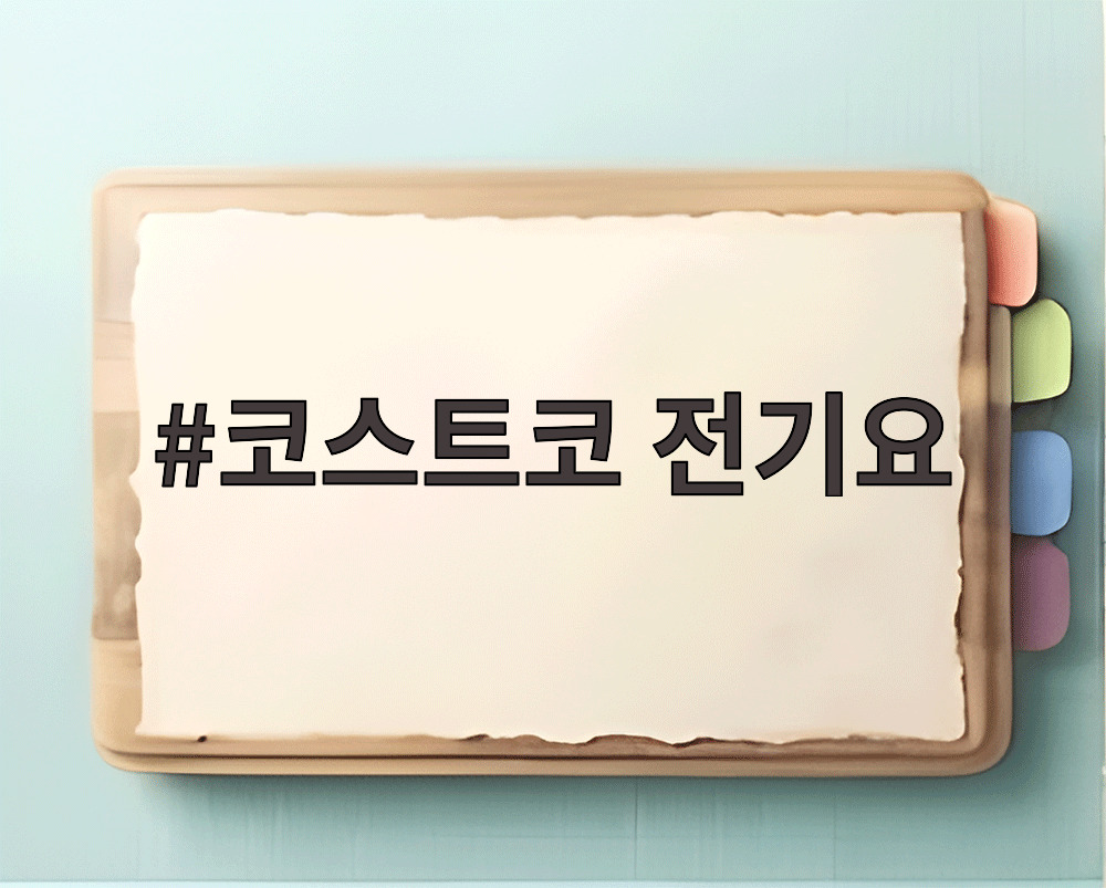 코스트코 전기요