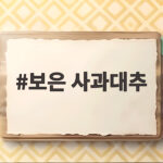 보은 사과대추