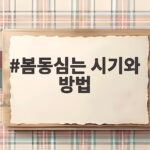 봄동심는 시기와 방법
