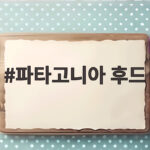 파타고니아 후드