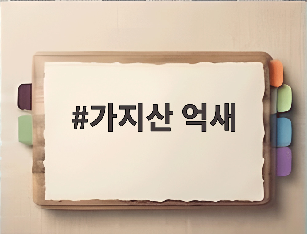 가지산 억새