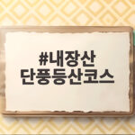 내장산 단풍등산코스