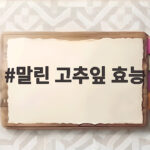 말린 고추잎 효능
