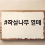 작살나무 열매