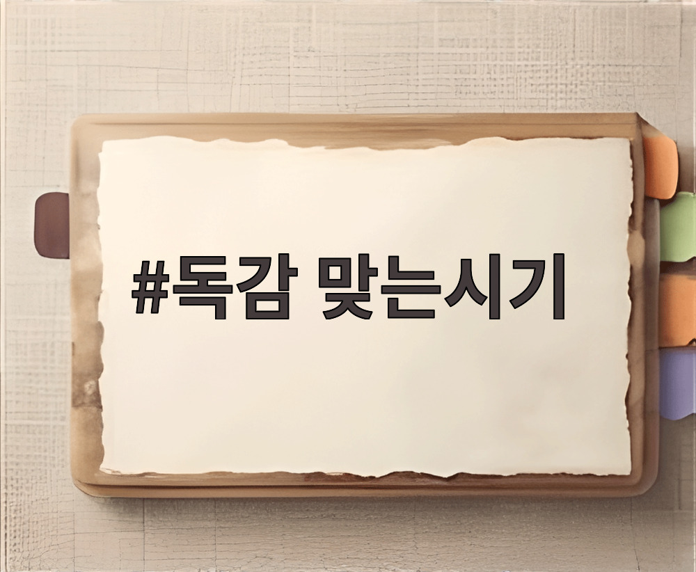 독감 맞는시기
