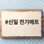 신일 전기매트