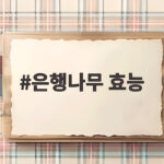 은행나무 효능 제대로 알고 안전하게 즐기는 방법 은행나무 효능
